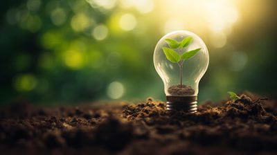 plante dans une ampoule sur un sol, symbolisant la croissance et la durabilité.